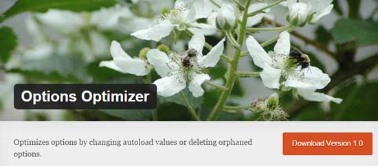 Options Optimizer