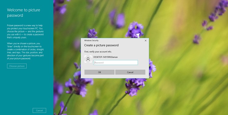 Picture password verify