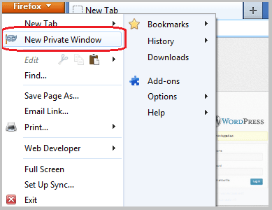 Open New Private Window