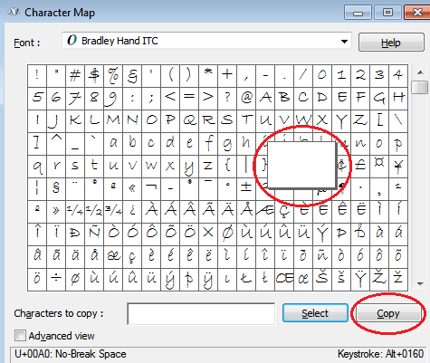 Select and copy blank character