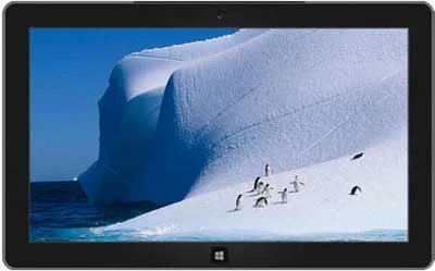 Antarctic Windows 7 theme