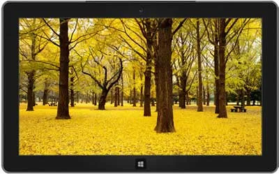 Autumn Color in Japan
