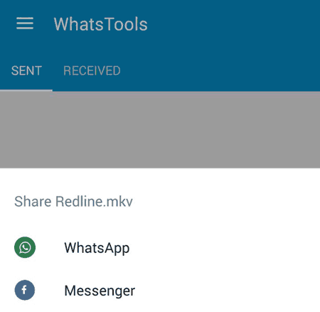 Send heavy files via WhatsApp using WhatsTools