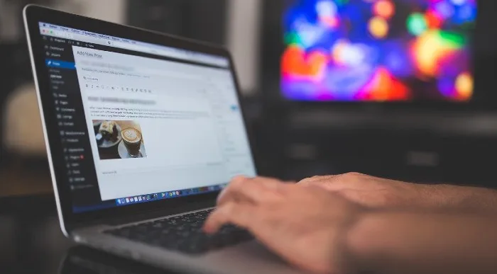 Content Writer Image